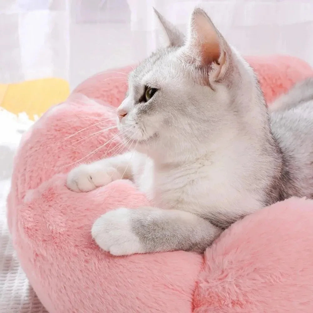 BloomNest™ Winter Warm Flower Pet Bed – Plush Cozy Mat for Cats
