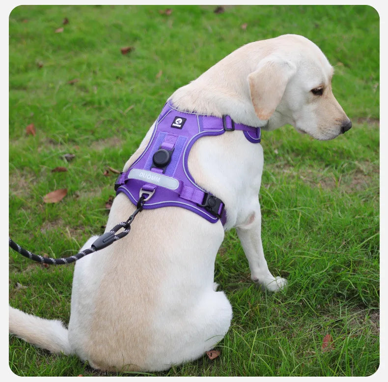 Adjustable Dog Harness with Built-in AirTag Holder