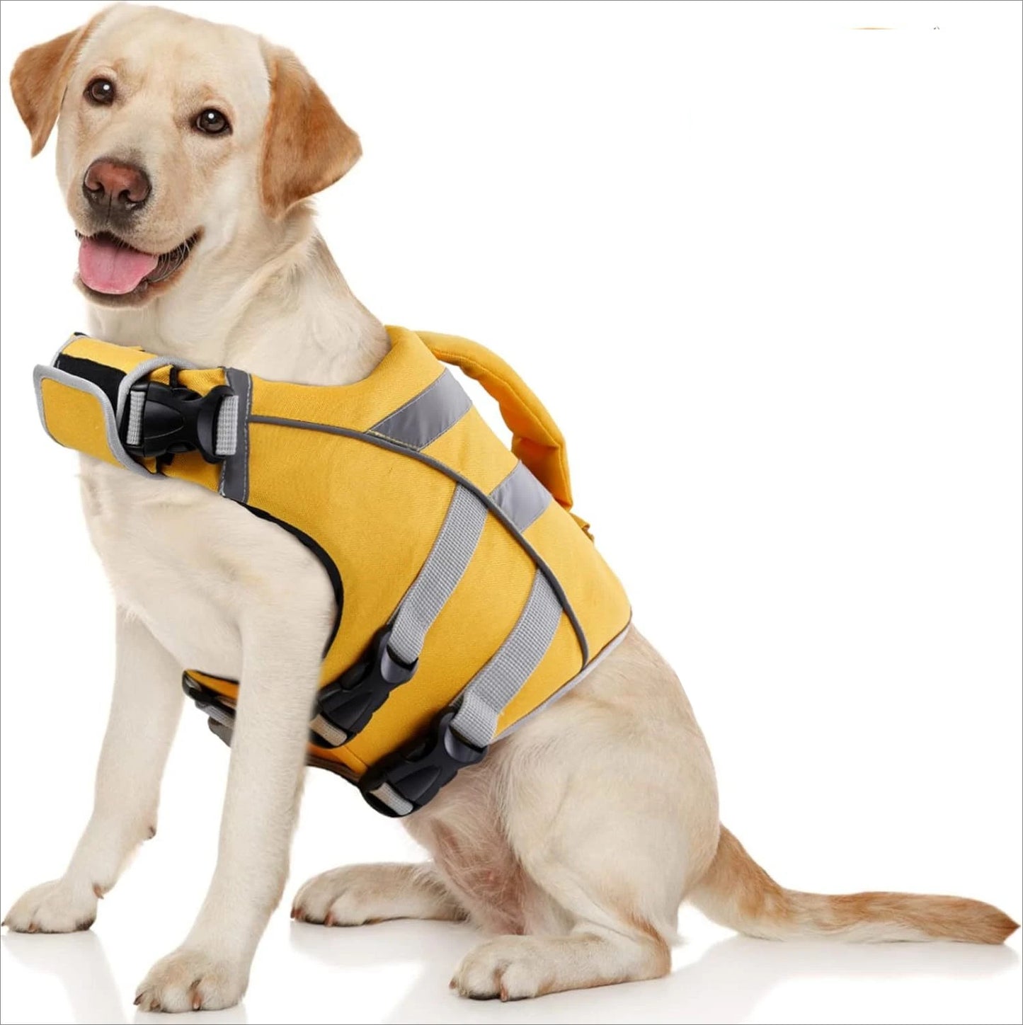 FloatMate™ Adjustable Dog Life Vest with Reflective Stripes