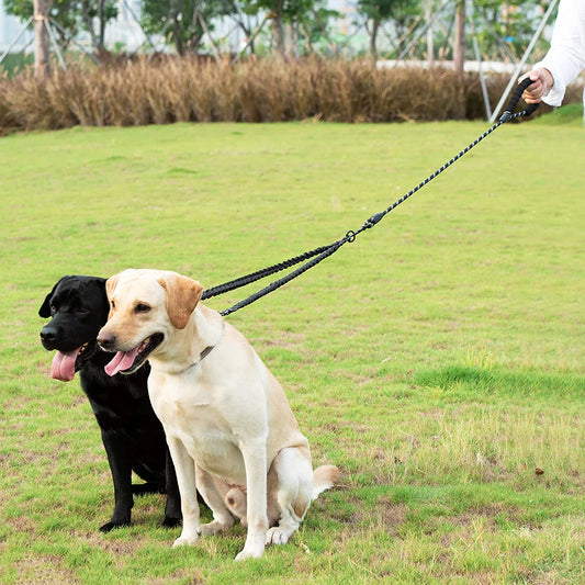 Dual Dog Leash Coupler – No-Tangle Double Lead for Walking Two Dogs