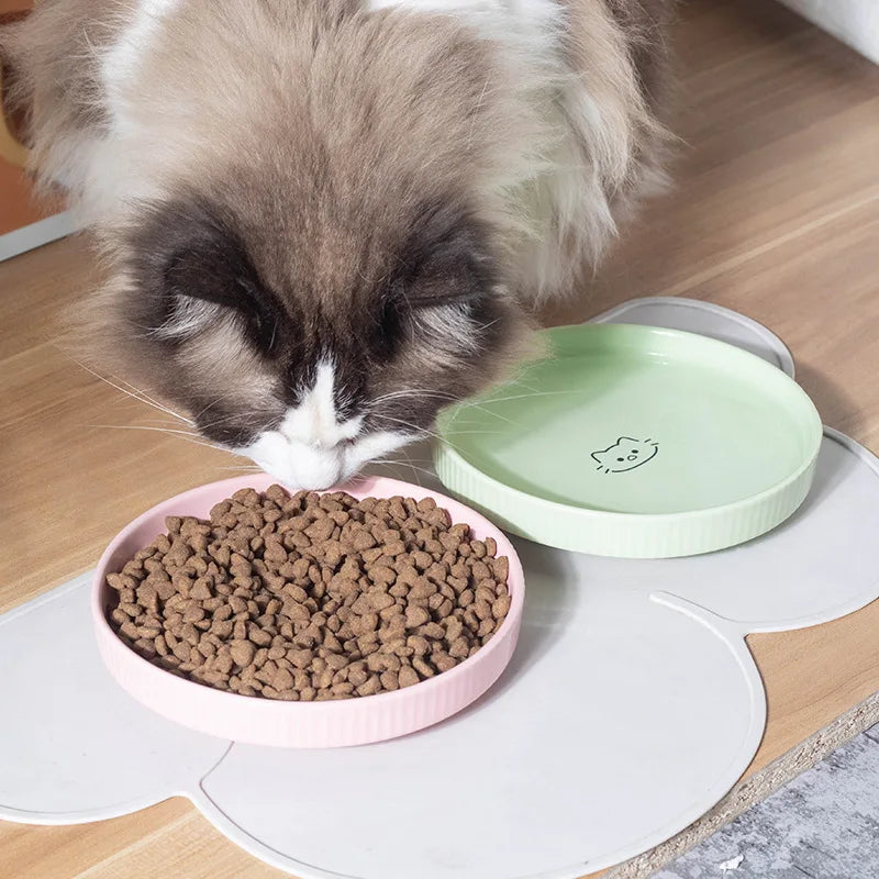 WhiskerWare™ Ceramic Cat Bowl