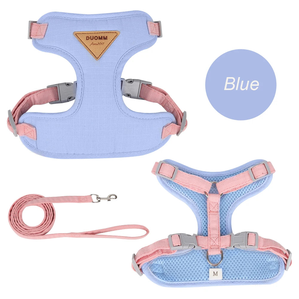 PurrStep™ Cat Harness & Leash Set – Breathable Stylish Outdoor Gear