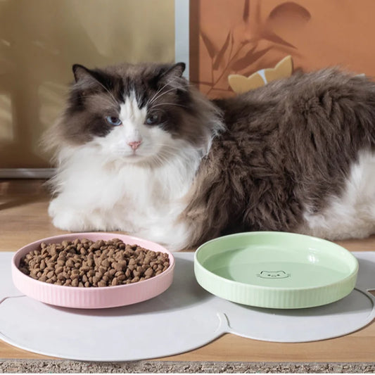 WhiskerWare™ Ceramic Cat Bowl