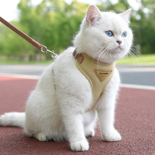 PurrStep™ Cat Harness & Leash Set – Breathable Stylish Outdoor Gear