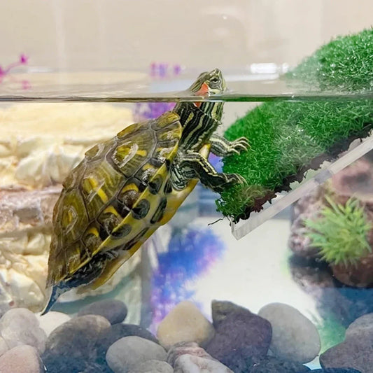 Floating Turtle Basking Platform – Suction-Cup Ramp with Simulated Grass for Aquariums & Terrariums