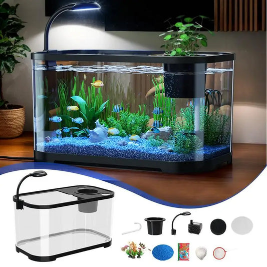 Beginner Betta Aquarium Kit – Compact Desktop Fish Tank for Home or Office