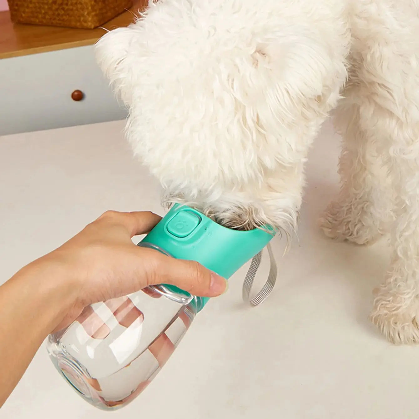 Portable Dog Water Bottle – Leak-Proof Travel Hydration for Pets