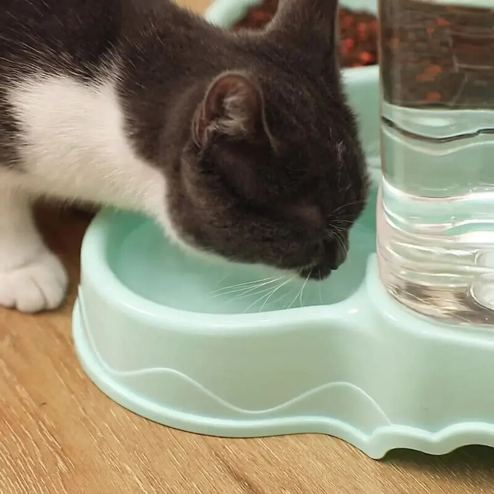 AquaFeast™ 3.8L Automatic Water & Food Dispenser – Gravity Feeder