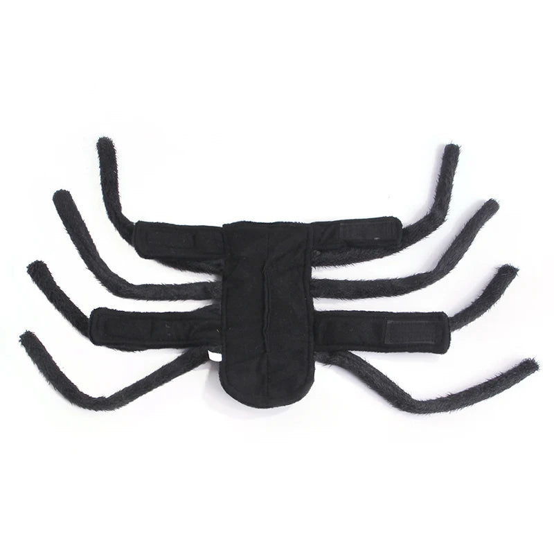 🕷️ Creepy-Crawly Pet Costume – Black Spider Outfit