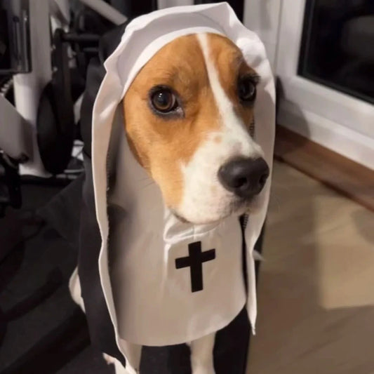 Holy Pup & Kitty Costume – Funny Nun Outfit for Dogs & Cats