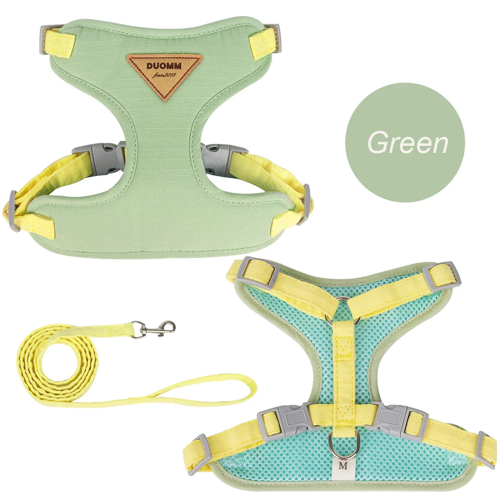 PurrStep™ Cat Harness & Leash Set – Breathable Stylish Outdoor Gear