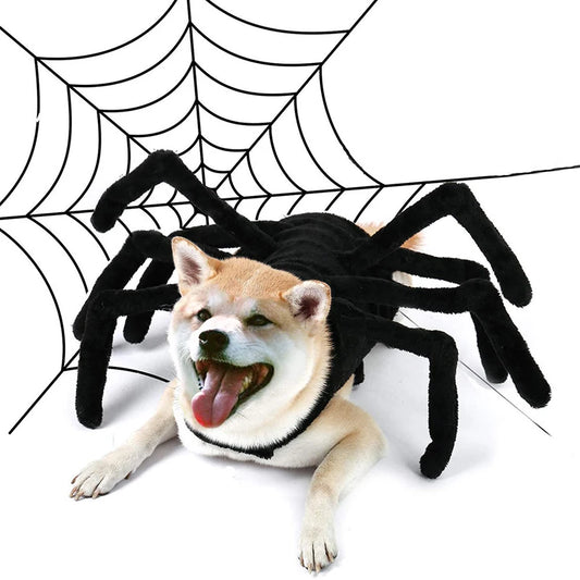 🕷️ Creepy-Crawly Pet Costume – Black Spider Outfit