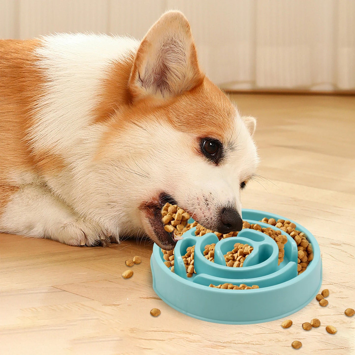 BiteBuddy Slow Feeder – Healthier Meals, Happier Tails