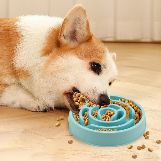 BiteBuddy Slow Feeder – Healthier Meals, Happier Tails