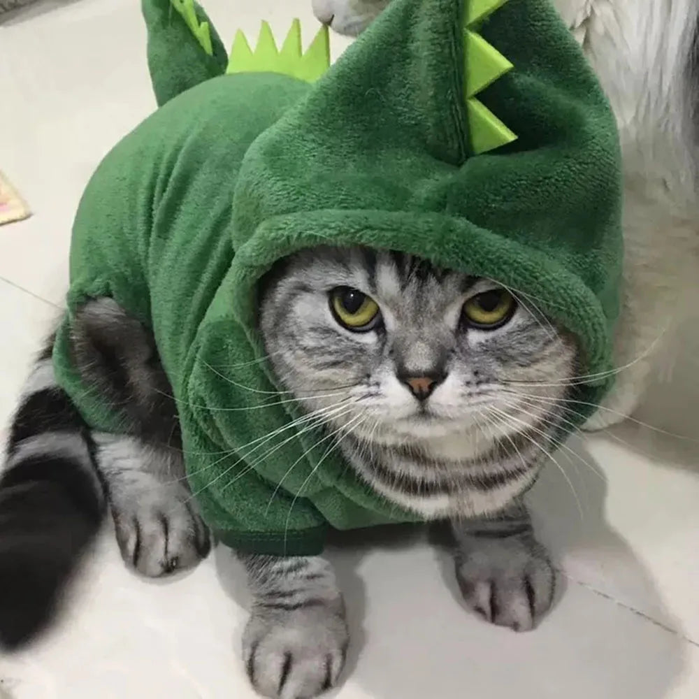 🦖 Dino Pet Hoodie – Cute Dinosaur Costume