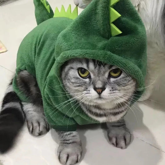 🦖 Dino Pet Hoodie – Cute Dinosaur Costume