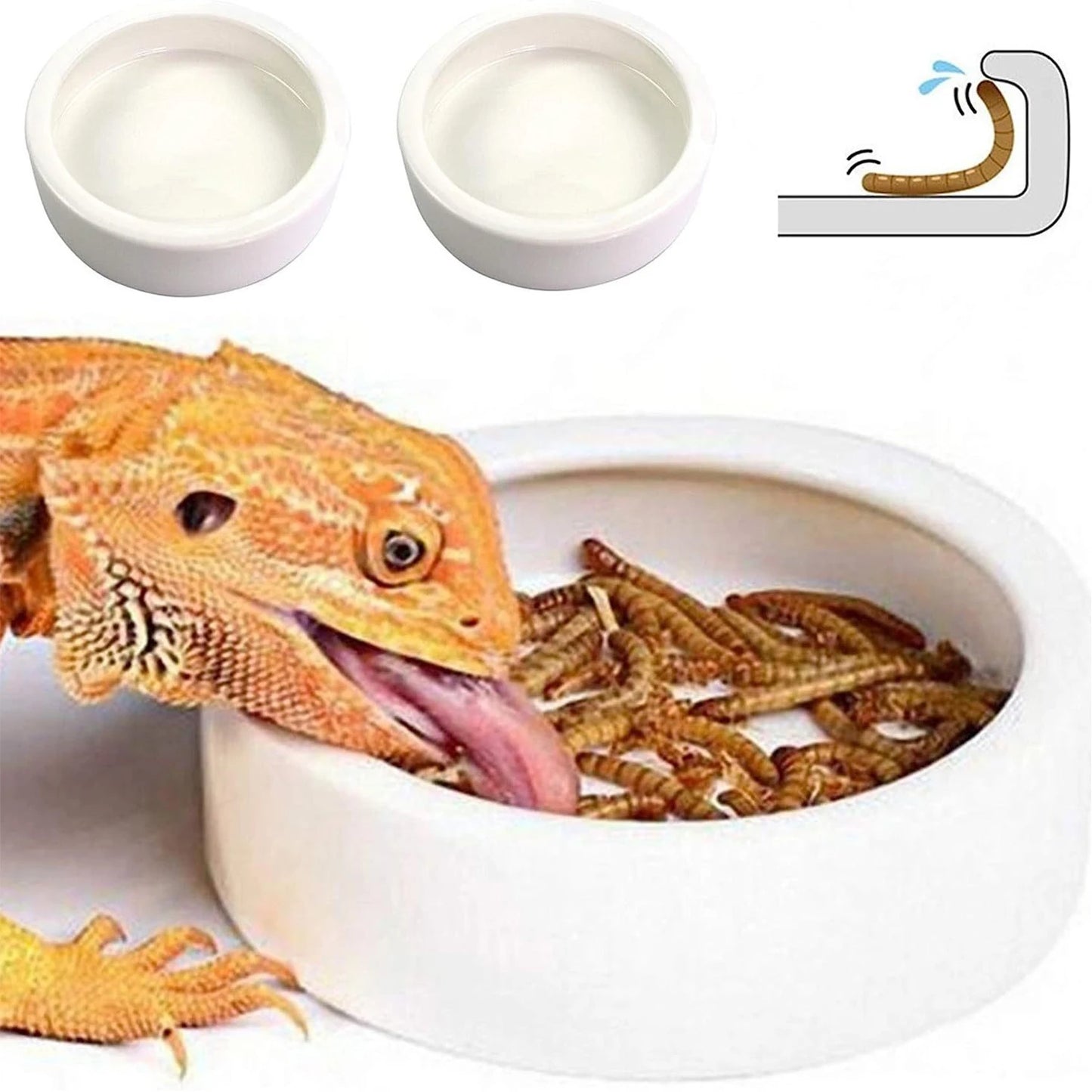 Anti-Escape Ceramic Reptile Food & Water Bowl – Super Worm Feeder for Lizards, Geckos & Small Reptiles