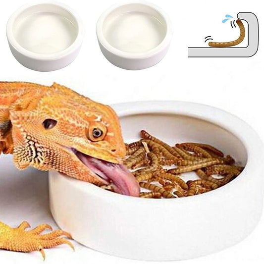 Anti-Escape Ceramic Reptile Food & Water Bowl – Super Worm Feeder for Lizards, Geckos & Small Reptiles