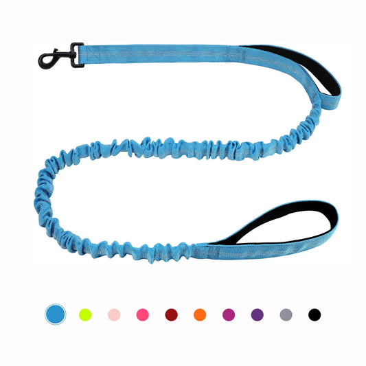 FlexiPaw™ Bungee Leash – Heavy-Duty Shock-Absorbing Dog Leash with Dual Padded Handles