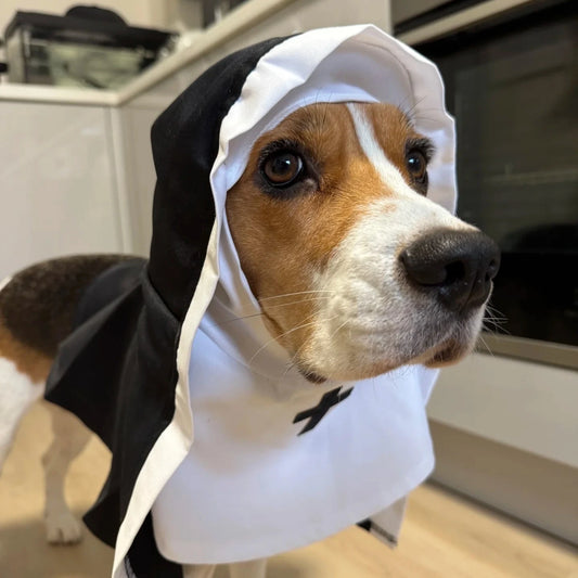 Holy Pup & Kitty Costume – Funny Nun Outfit for Dogs & Cats
