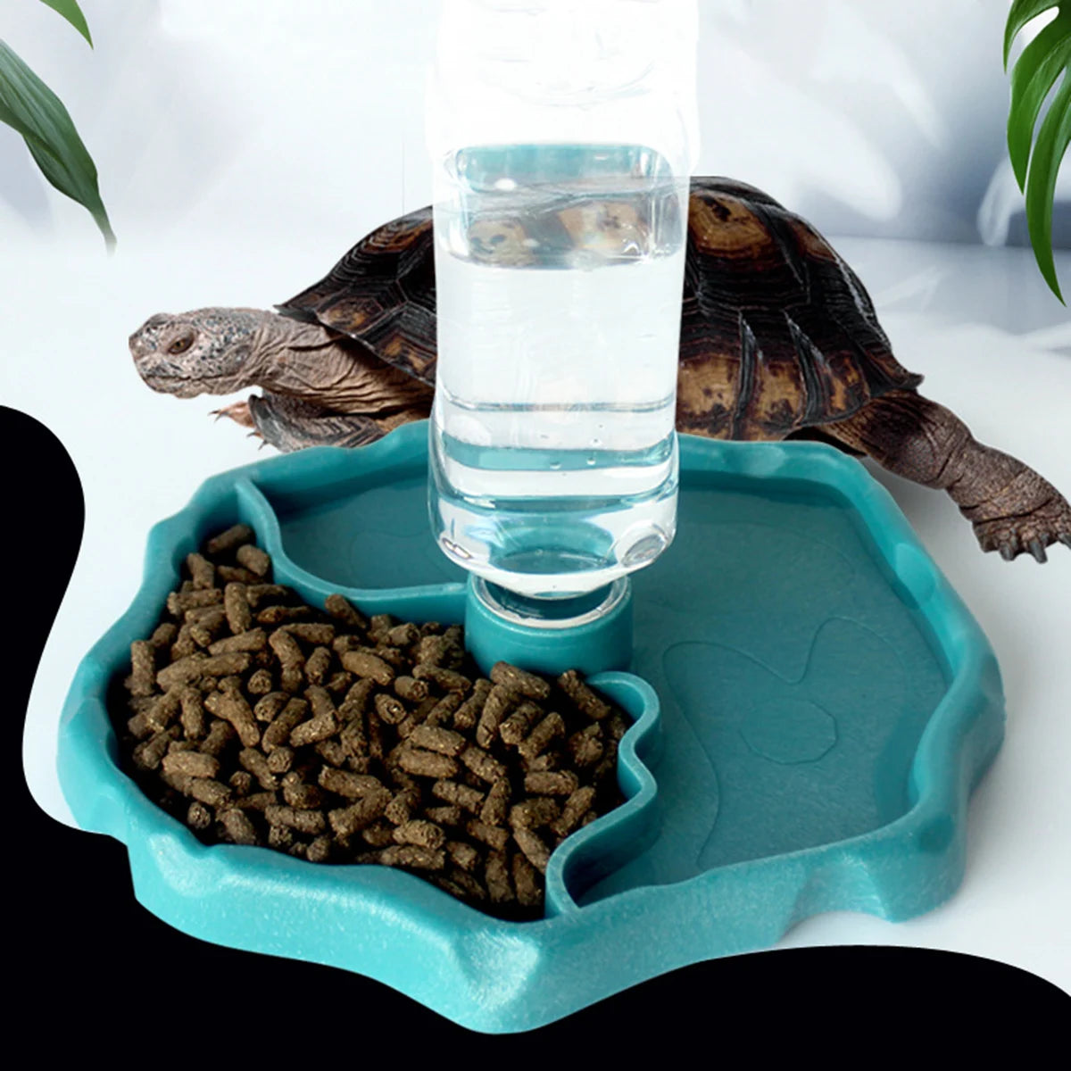 Removable Reptile Feeder Dish – Easy-Clean Food & Water Bowl for Turtles, Lizards & Small Pets