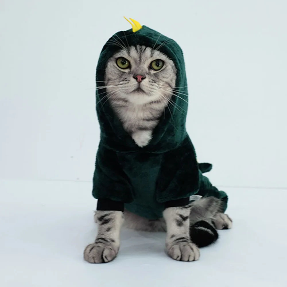 🦖 Dino Pet Hoodie – Cute Dinosaur Costume