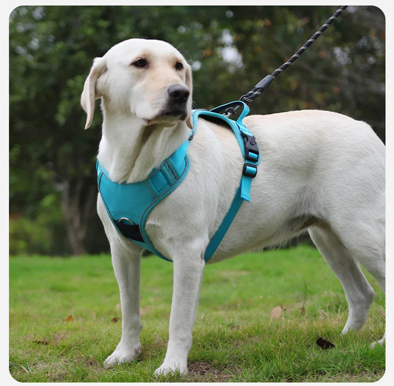 Adjustable Dog Harness with Built-in AirTag Holder
