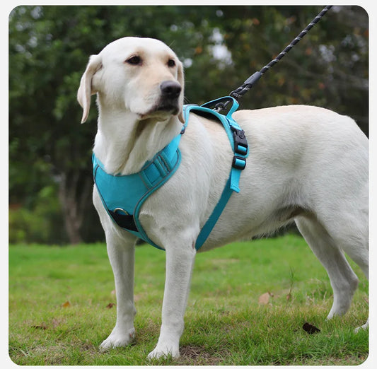 Adjustable Dog Harness with Built-in AirTag Holder