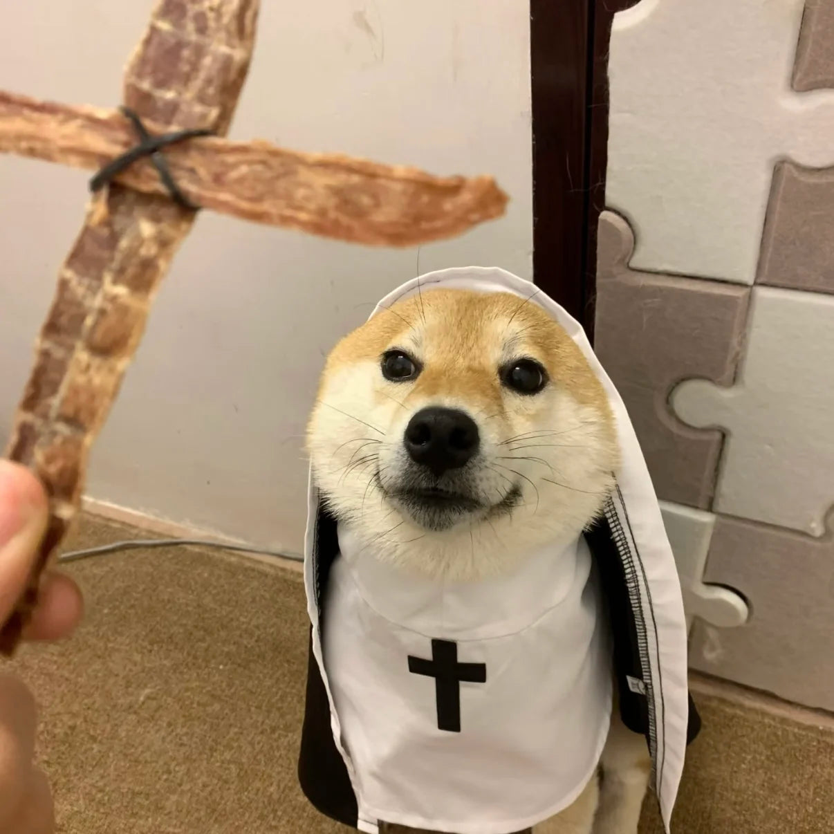 Holy Pup & Kitty Costume – Funny Nun Outfit for Dogs & Cats
