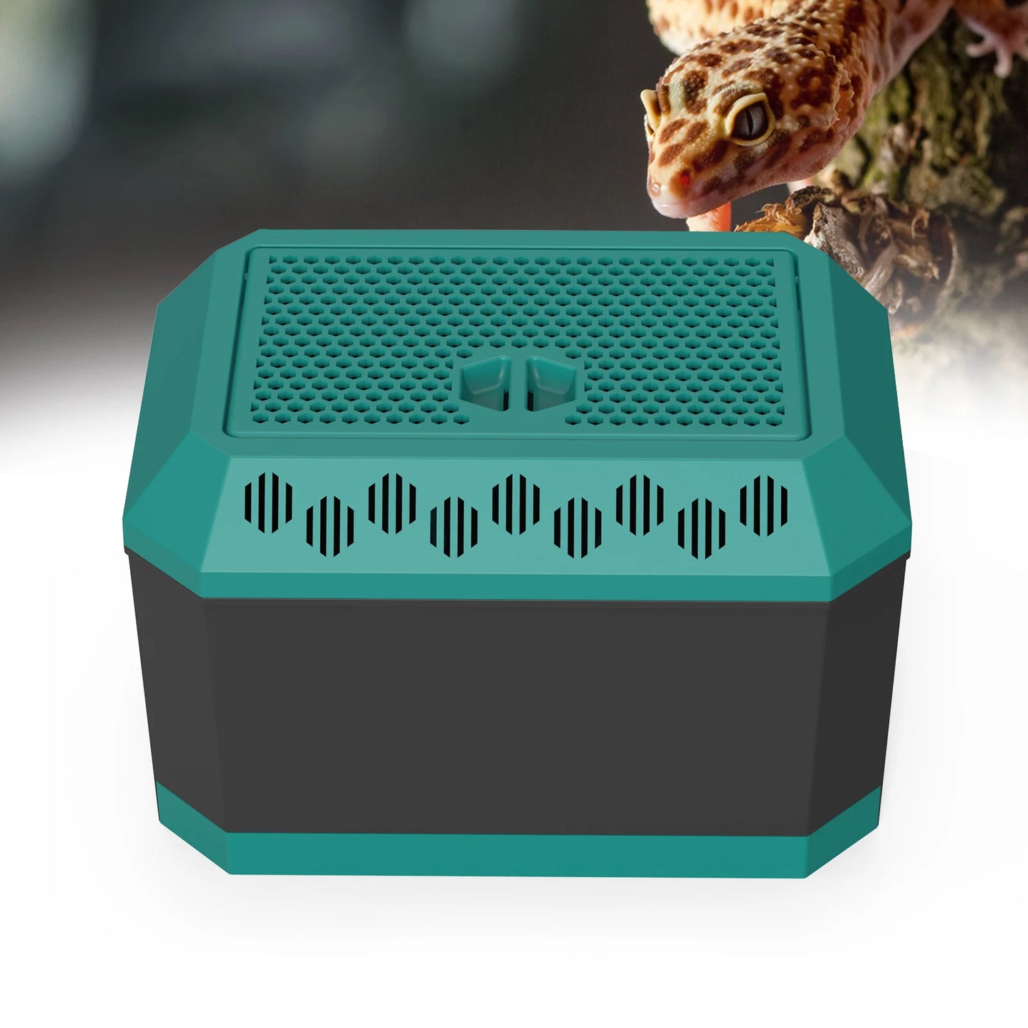 Live Insect Feeder Storage Box – Breeding & Feeding Container for Mealworms, Crickets, Dubia Roaches & Superworms
