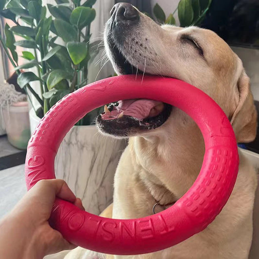 Tough Dog Ring Toy – Durable Flying & Floating Fetch Ring for All Breeds