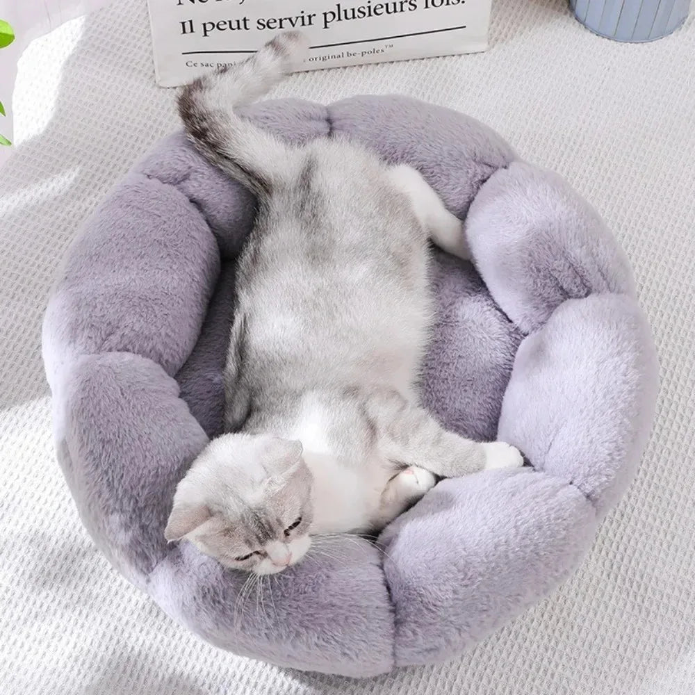 BloomNest™ Winter Warm Flower Pet Bed – Plush Cozy Mat for Cats
