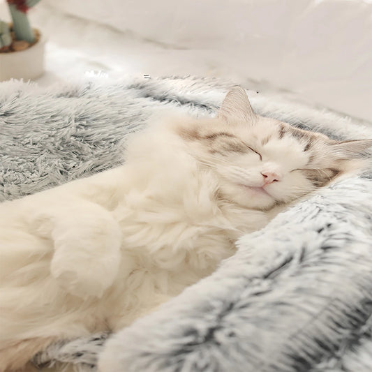CozyCave™ Plush Hooded Pet Bed – Fluffy 2-in-1 Nest for Cats