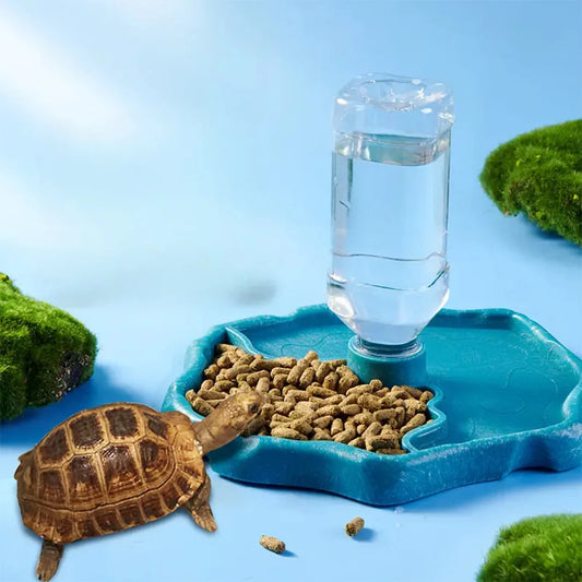 Removable Reptile Feeder Dish – Easy-Clean Food & Water Bowl for Turtles, Lizards & Small Pets