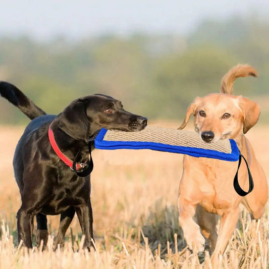 Dog Bite Stick Easy to Grip Interactive Toy
