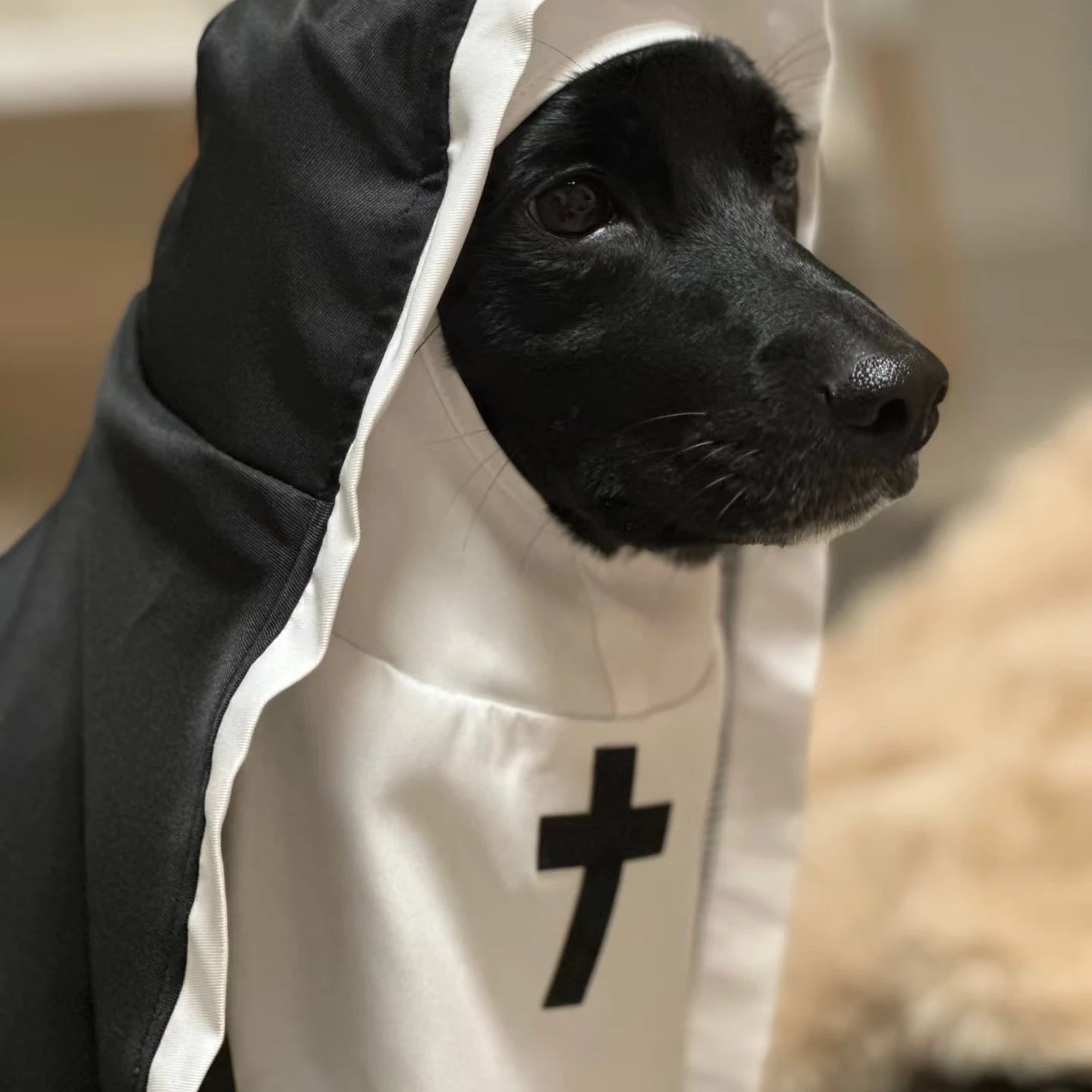 Holy Pup & Kitty Costume – Funny Nun Outfit for Dogs & Cats