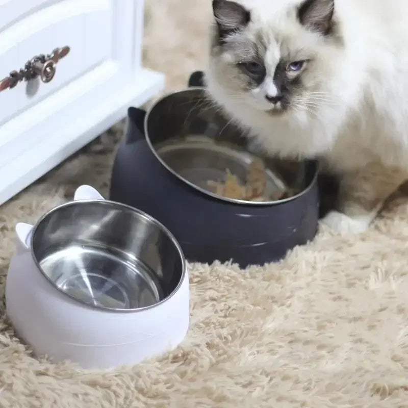 Tilted Pet Bowl with Bamboo Stand