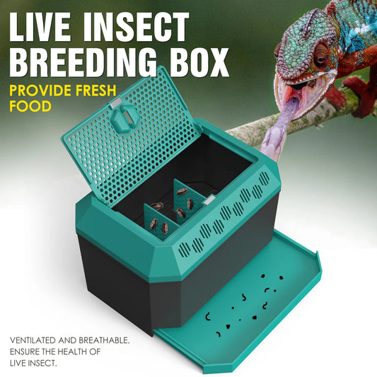 Live Insect Feeder Storage Box – Breeding & Feeding Container for Mealworms, Crickets, Dubia Roaches & Superworms