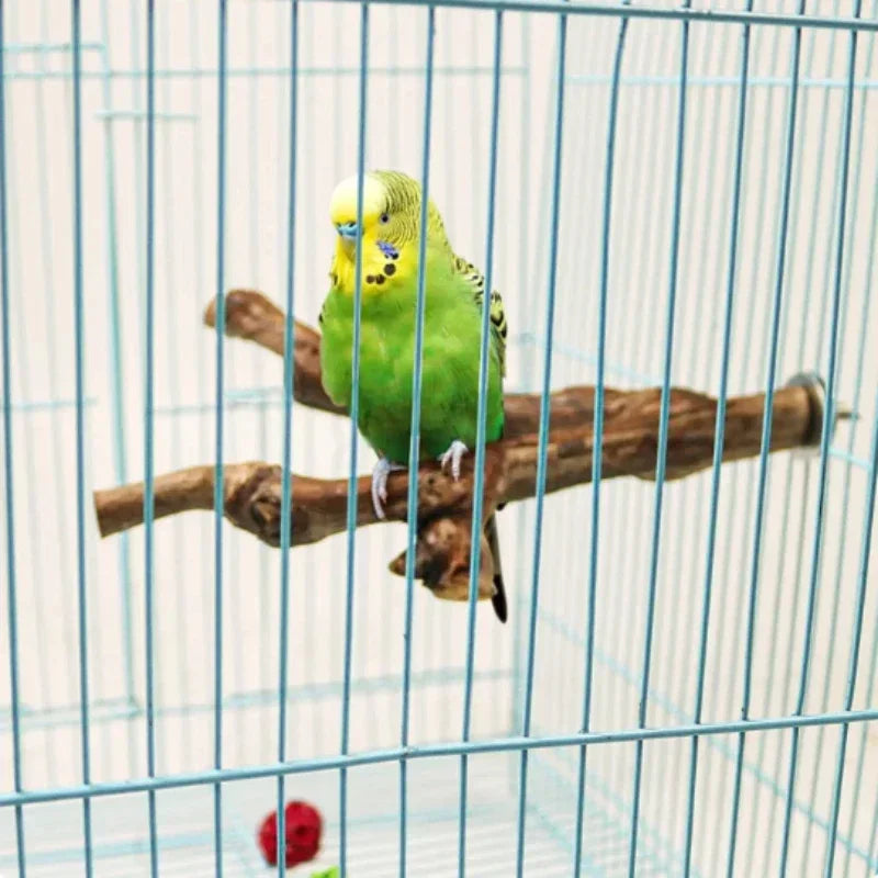 Natural Grape Wood Perch – Bird Cage Stand & Claw Grinding Toy for Parrots & Small Birds