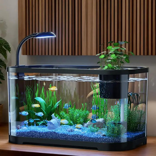 Beginner Betta Aquarium Kit – Compact Desktop Fish Tank for Home or Office