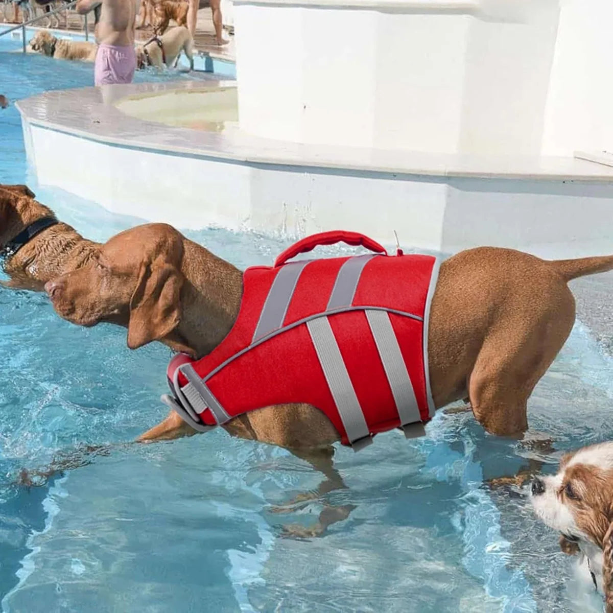 FloatMate™ Adjustable Dog Life Vest with Reflective Stripes
